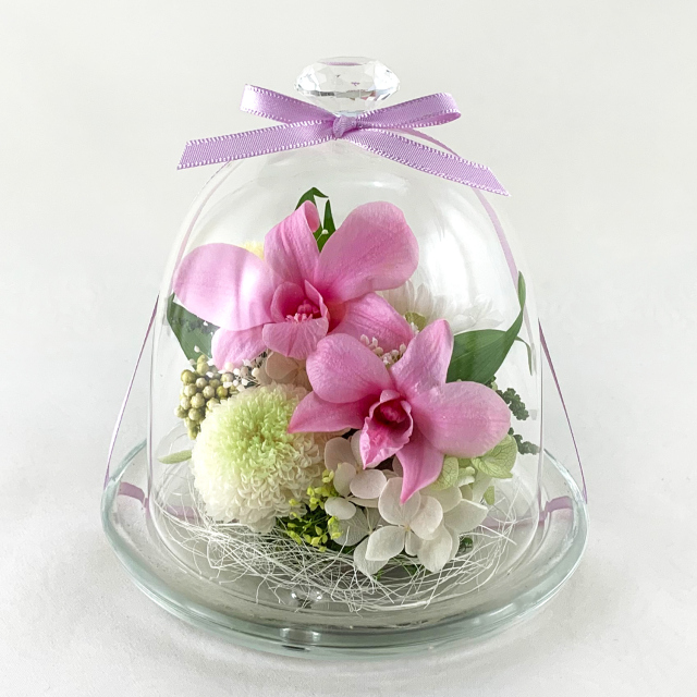 プリザーブドフラワー お供え ガラスドーム デンファレ ピンク 菊